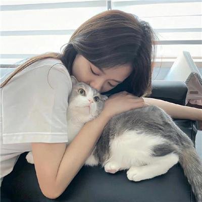 虎鲨王